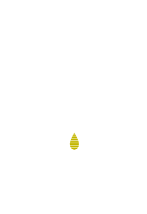 Kürbisgut Ölinger Michl